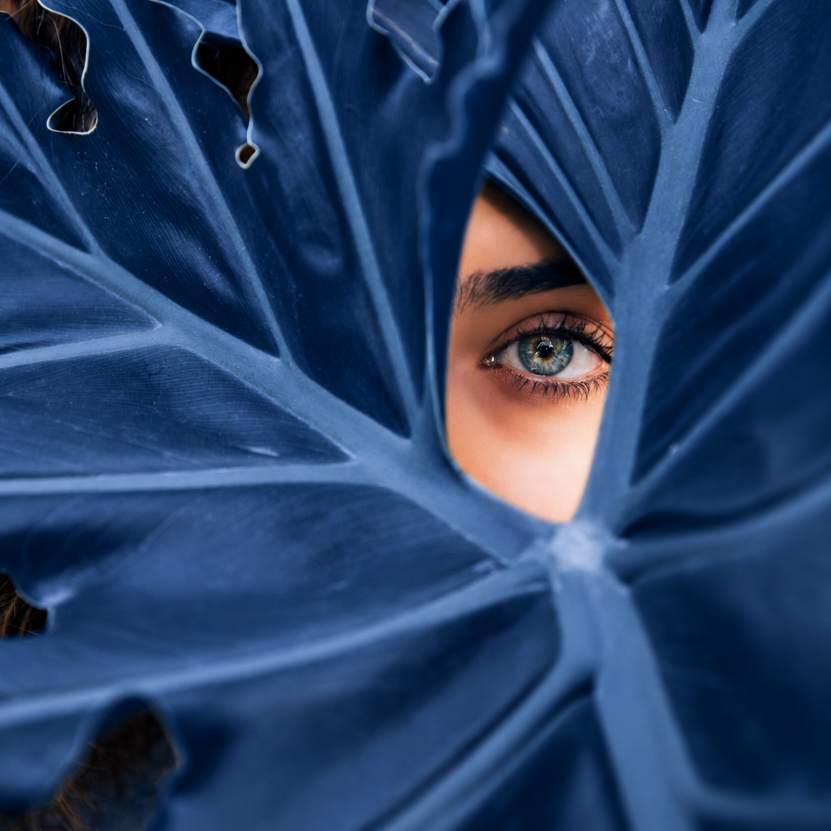 Close-up of a woman’s eye framed by dark blue tropical leaves, symbolizing beauty and skin rejuvenation.